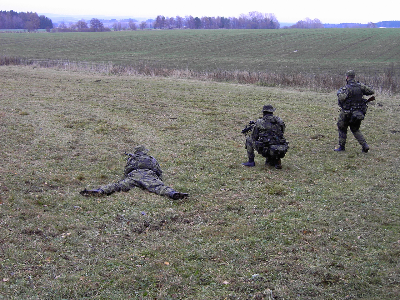 PICT3312.JPG