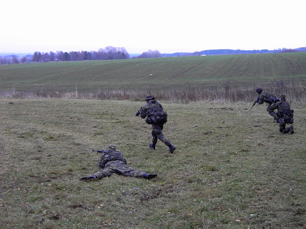PICT3313.JPG