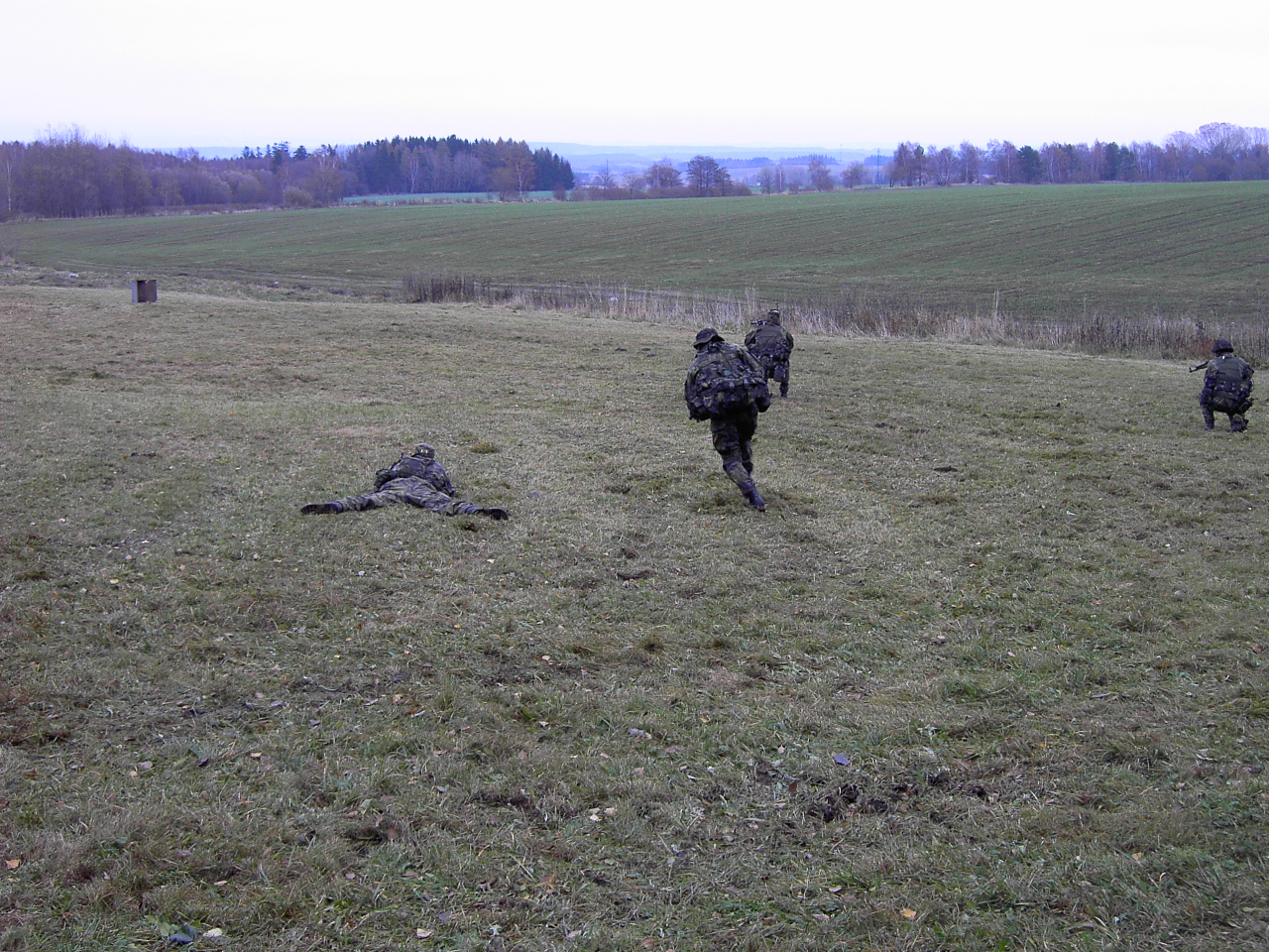 PICT3314.JPG